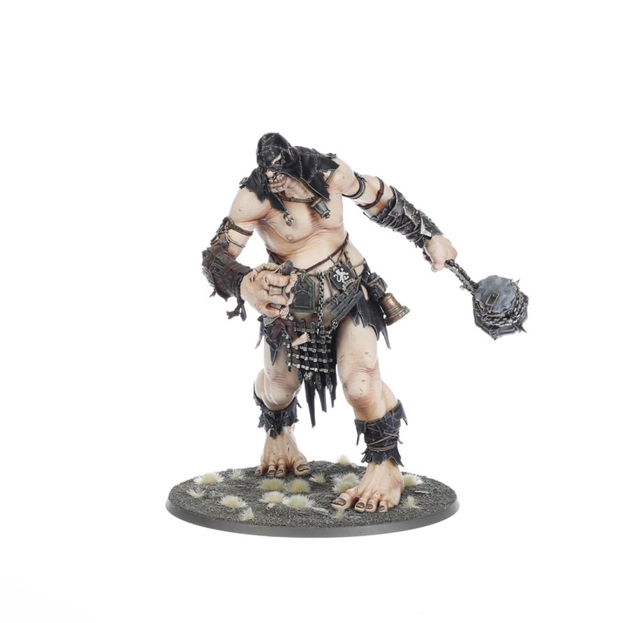 Warhammer Age Of Sigmar: Brawlers Of Behemat