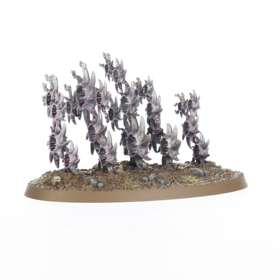 Hedonites of Slaanesh: Accursed Reflection