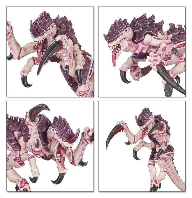 Tyranid Swarm Battleforce