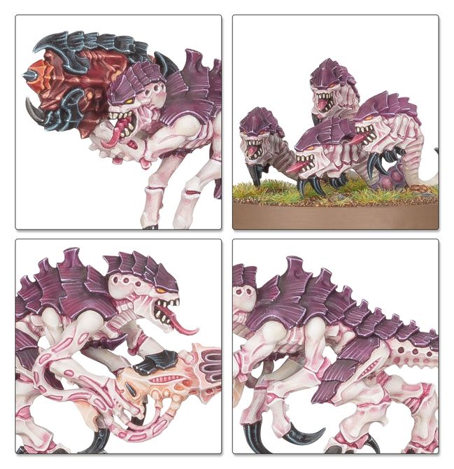 Tyranid Swarm Battleforce