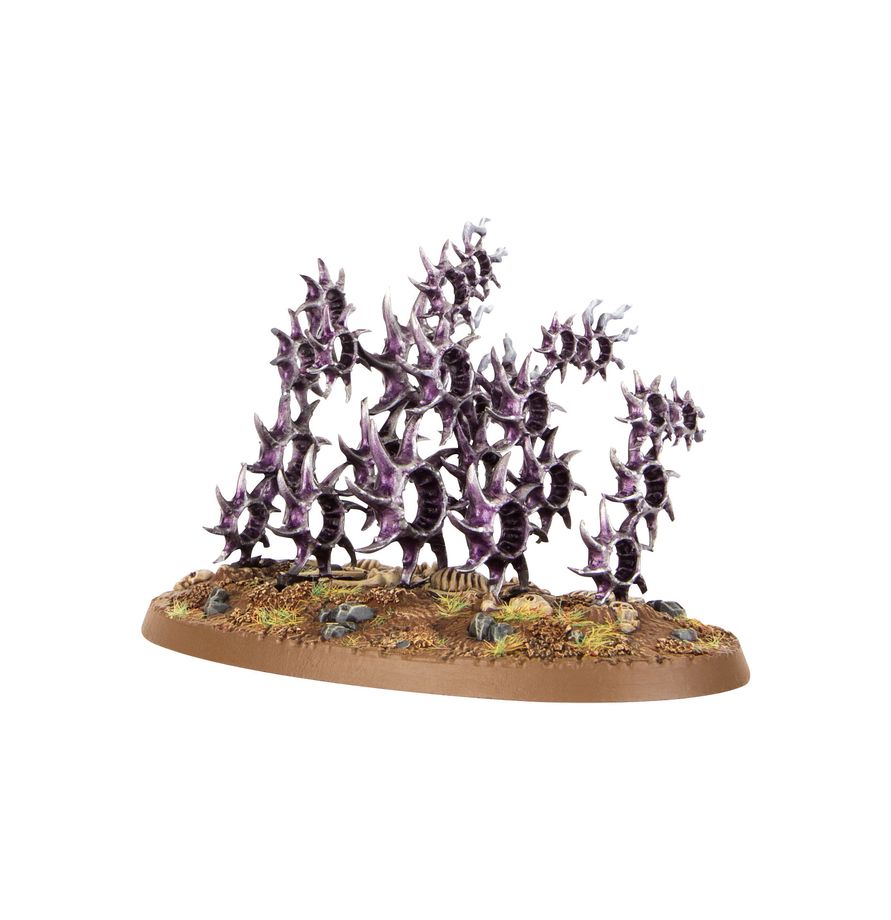 Hedonites of Slaanesh: Accursed Reflection
