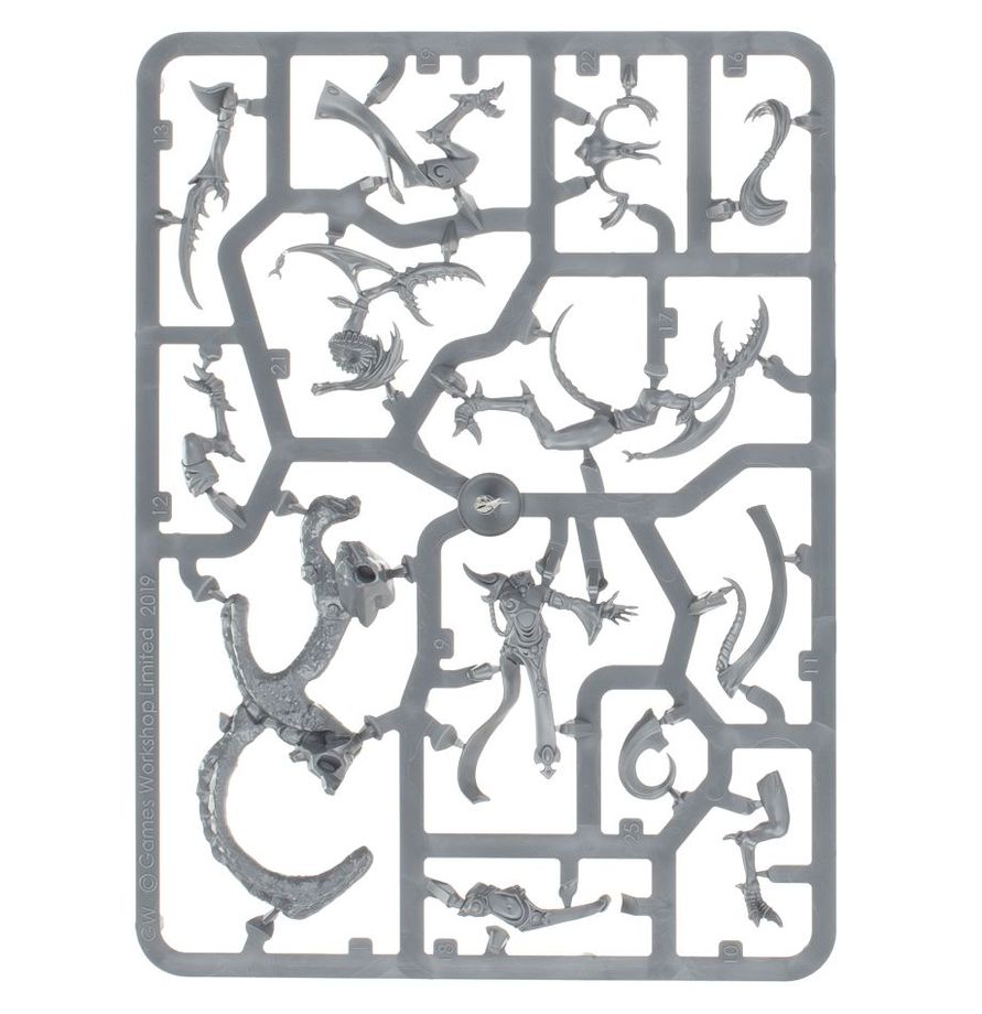 Hedonites of Slaanesh: Accursed Reflection